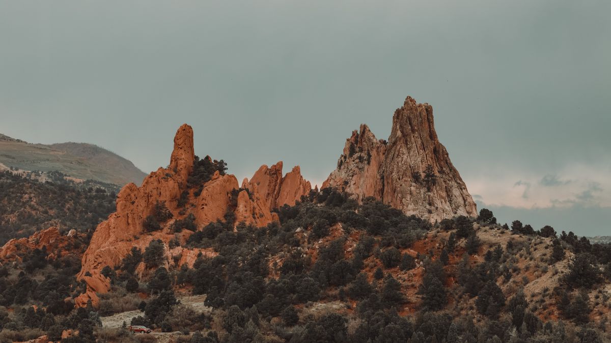 Colorado Springs, CO Birthday Freebies Near Me: Where to Find Legit Deals