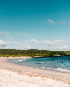 Peaceful beach view with clear skies and ocean in Galápagos Islands, Ecuador.