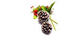 松果和红色浆果点缀在白色表面上，非常适合度假主题