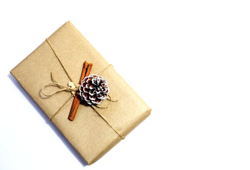 这款极简主义环保圣诞礼物，采用牛皮纸、松果和肉桂棒进行包装