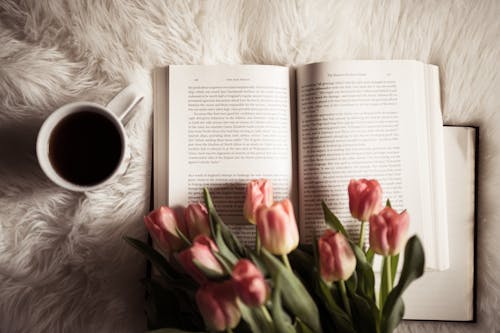 Free Flowers on an Open Book and a Cup of Coffee  Stock Photo