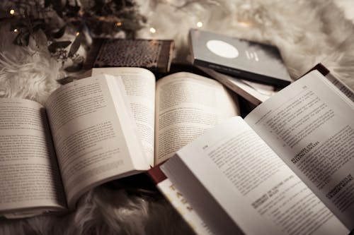 Free A Bunch of Open Books on a Fluffy Blanket  Stock Photo
