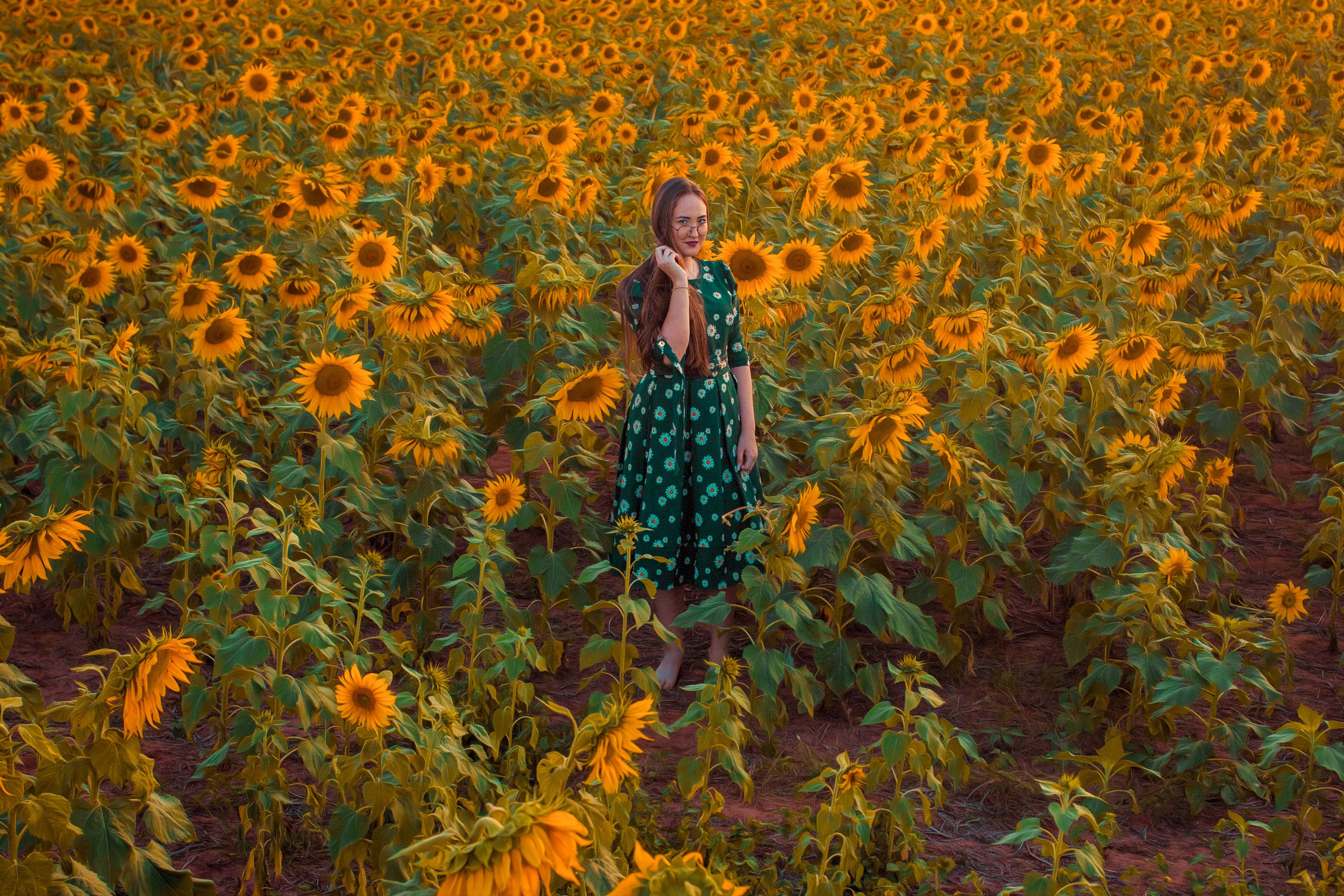 Woman Standing in a Sunflower Field · Free Stock Photo