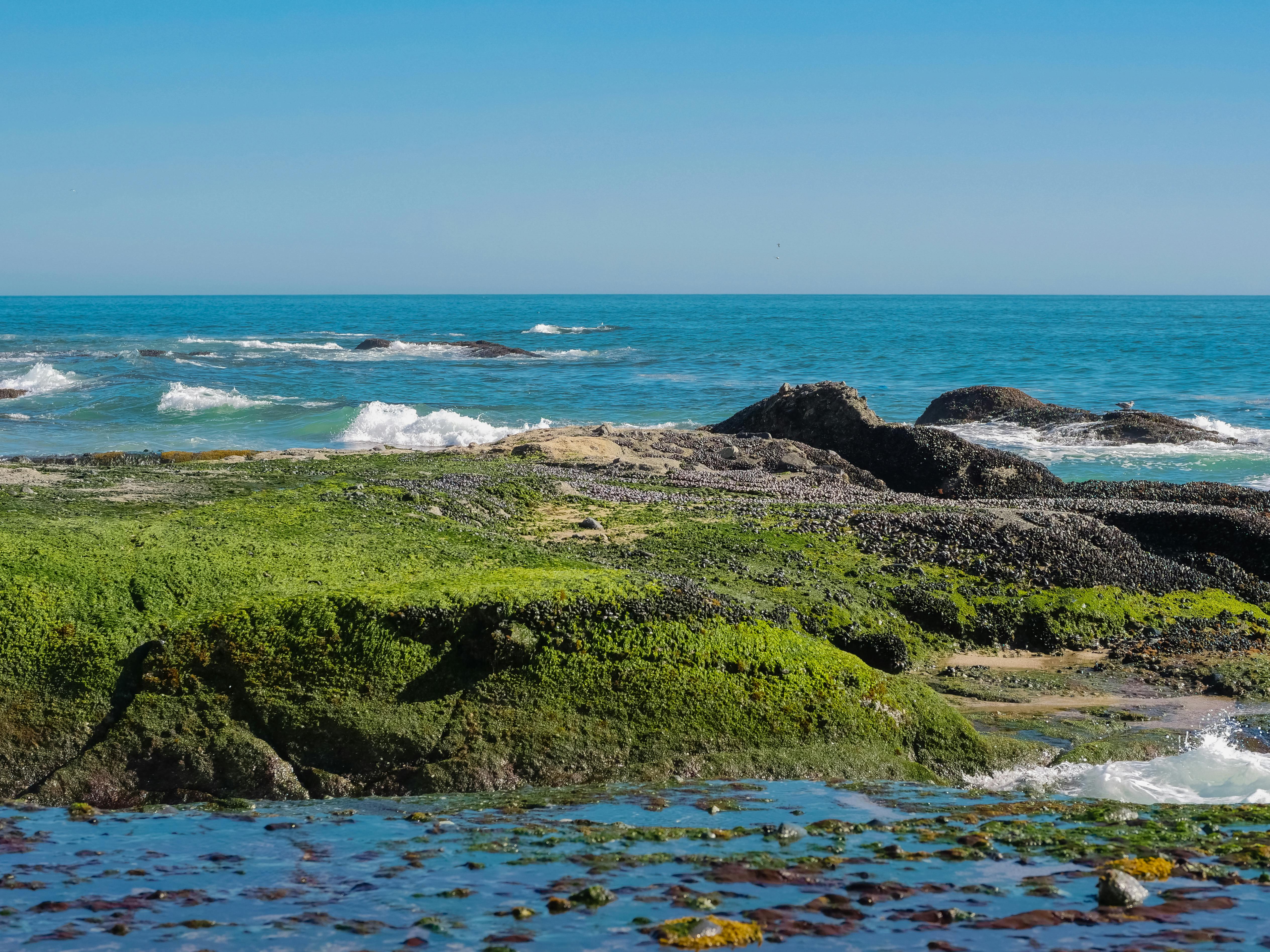 Sharp Rock Formation on the Shore · Free Stock Photo