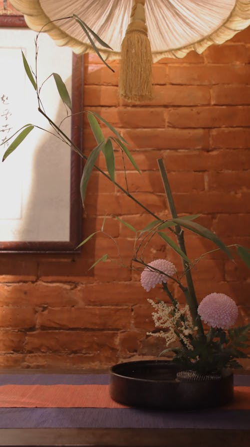 Gratis stockfoto met bamboe, bloemen, chinese cultuur