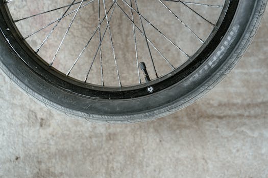 Cycling Essentials