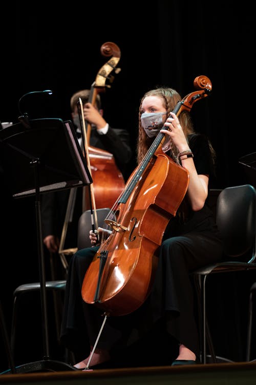 Foto d'estoc gratuïta de concert, dona, femella