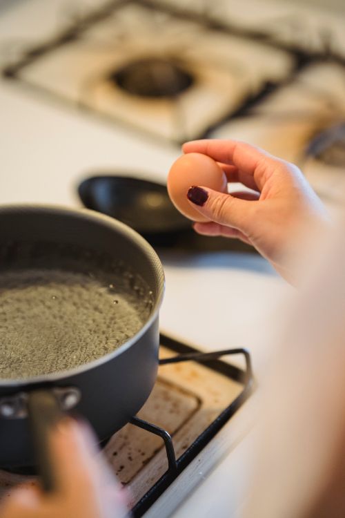 Free A close-up of a person's hand holding an egg over a pot of boiling water on a stove. Stock Photo
