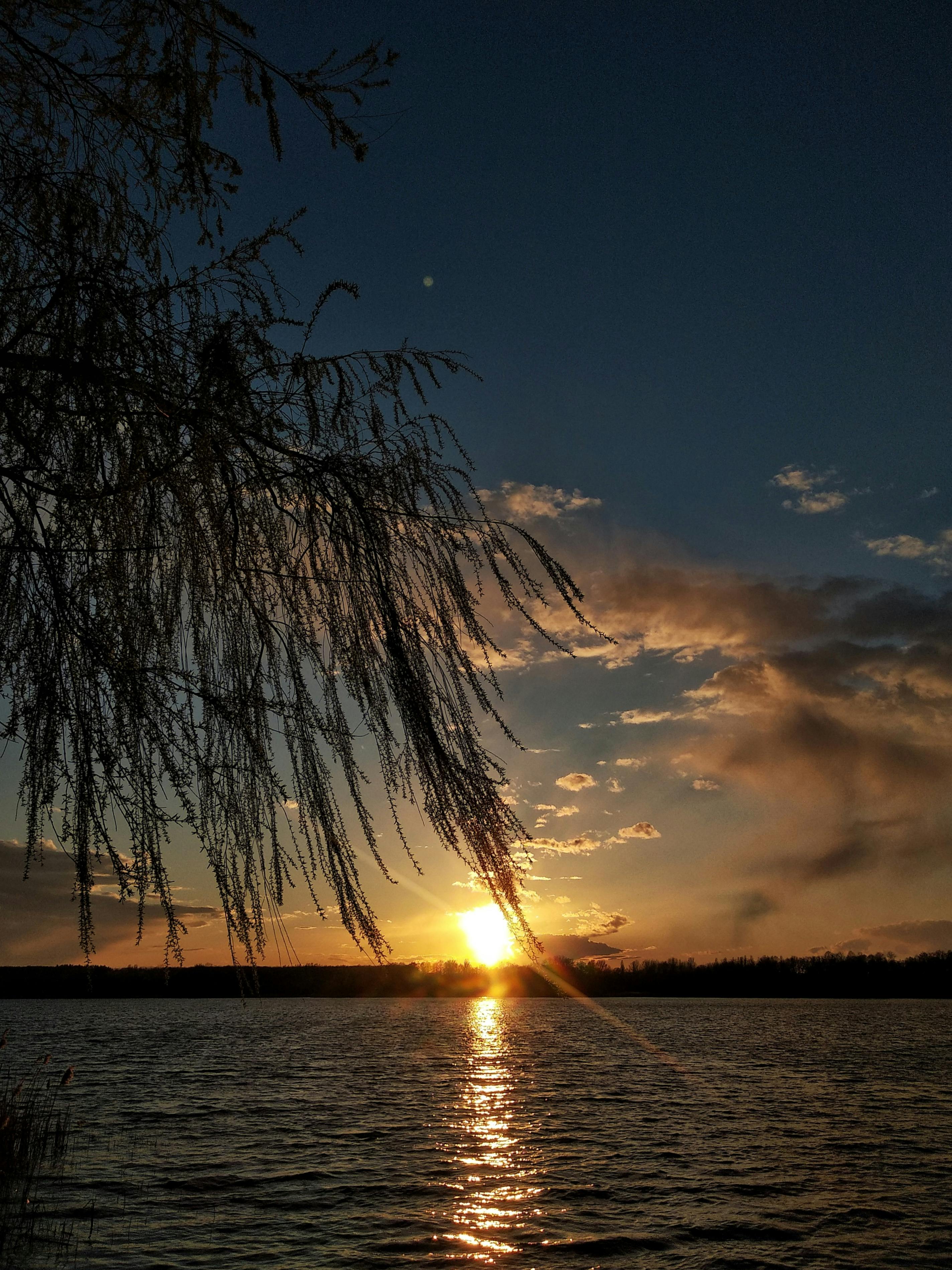 Colorful protein snack board with vegetables, dips, cheese, and crackers arranged on a wooden board
