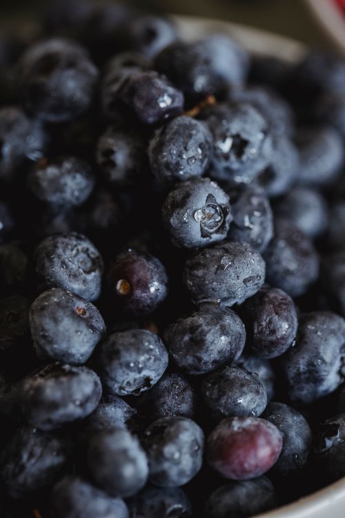 Free A close-up view of a fresh pile of blueberries with water droplets, highlighting their natural freshness. Stock Photo