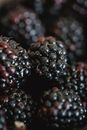 Black Round Fruit in Close Up Photography