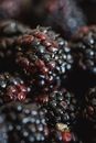 Black and Red Round Fruits