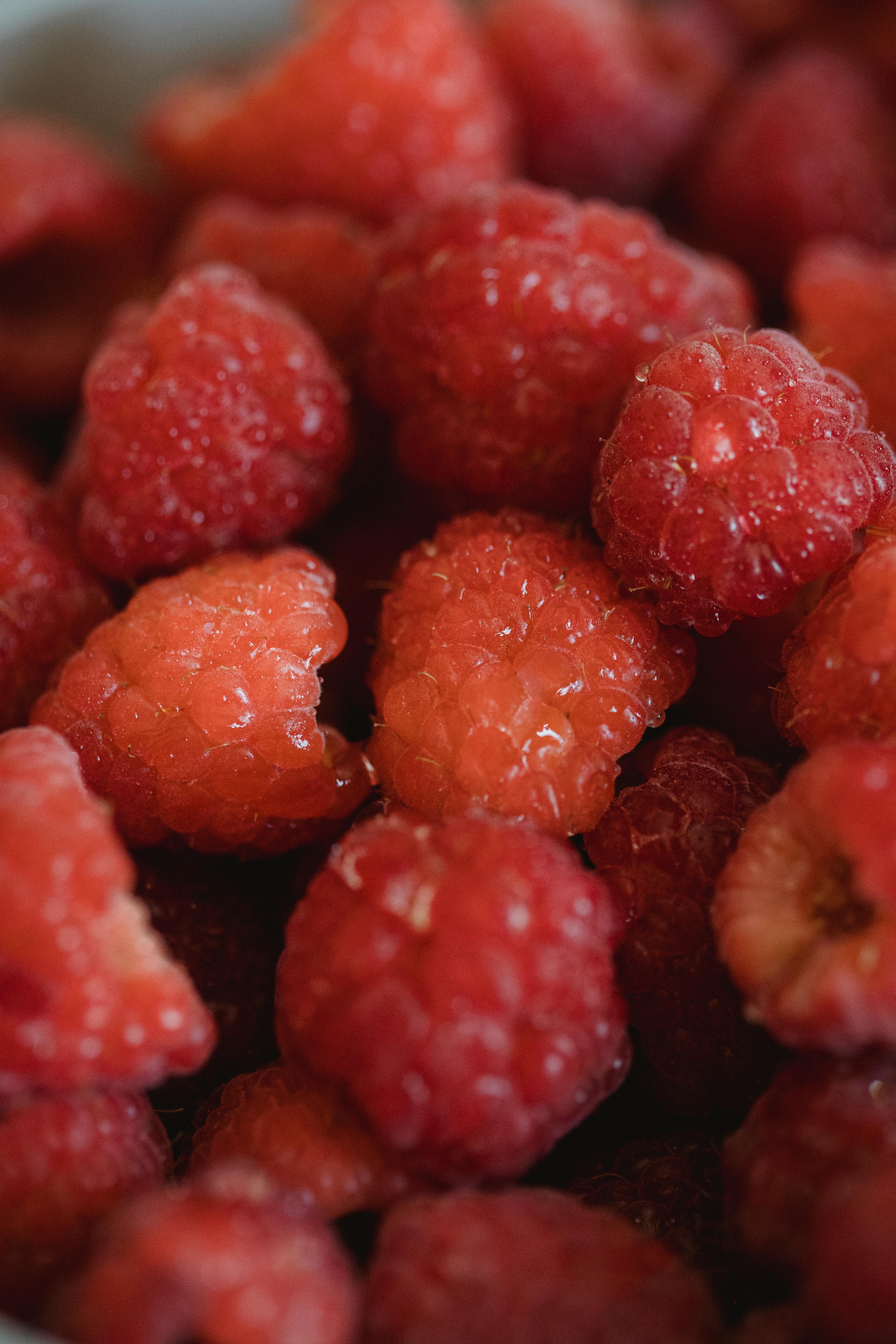 Close up of Red Raspberries · Free Stock Photo