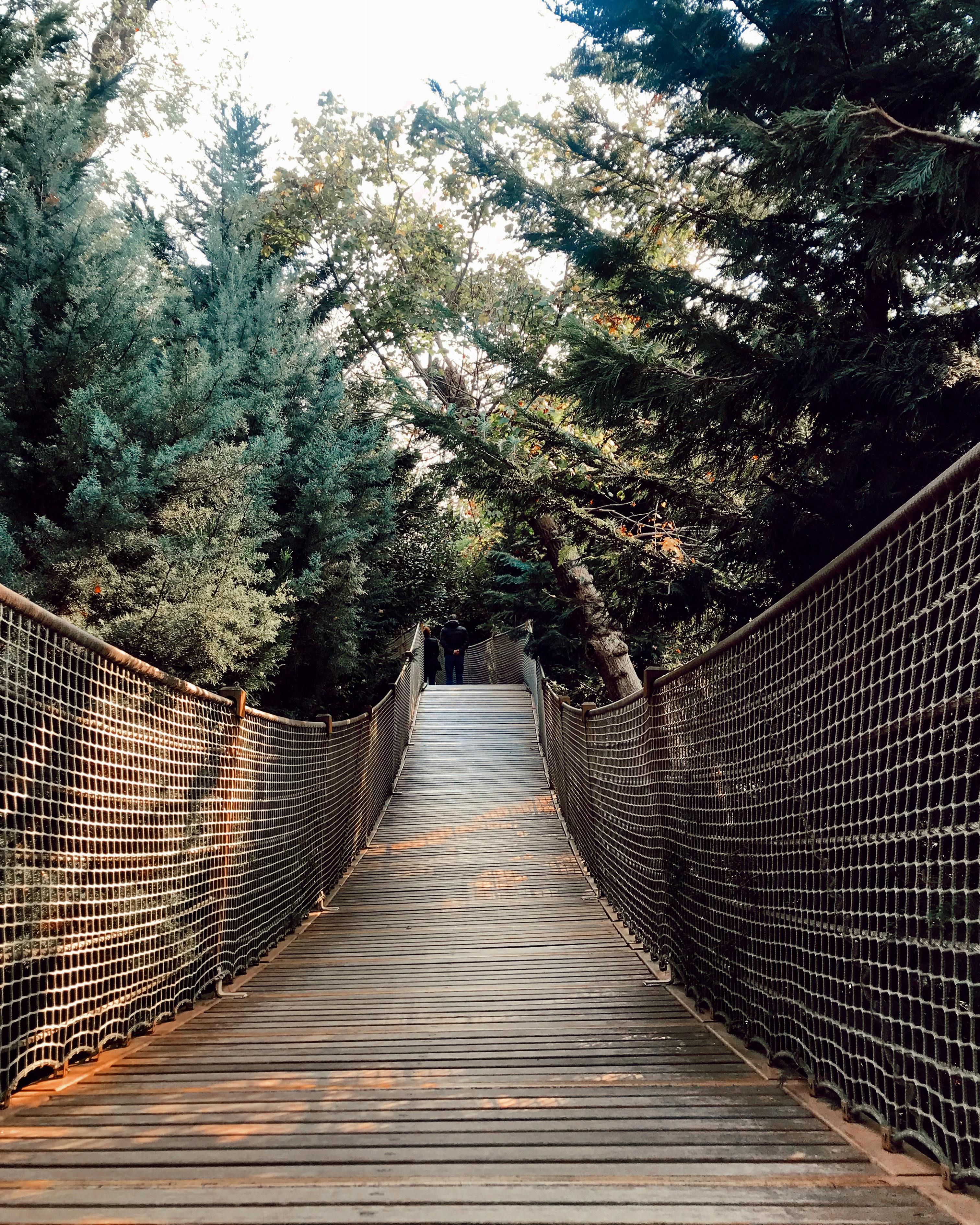 High-protein snack plate with cottage cheese, eggs, vegetables, crackers and fruit arranged on a board