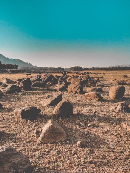 Rocce Vicino Ad Alberi E Montagne