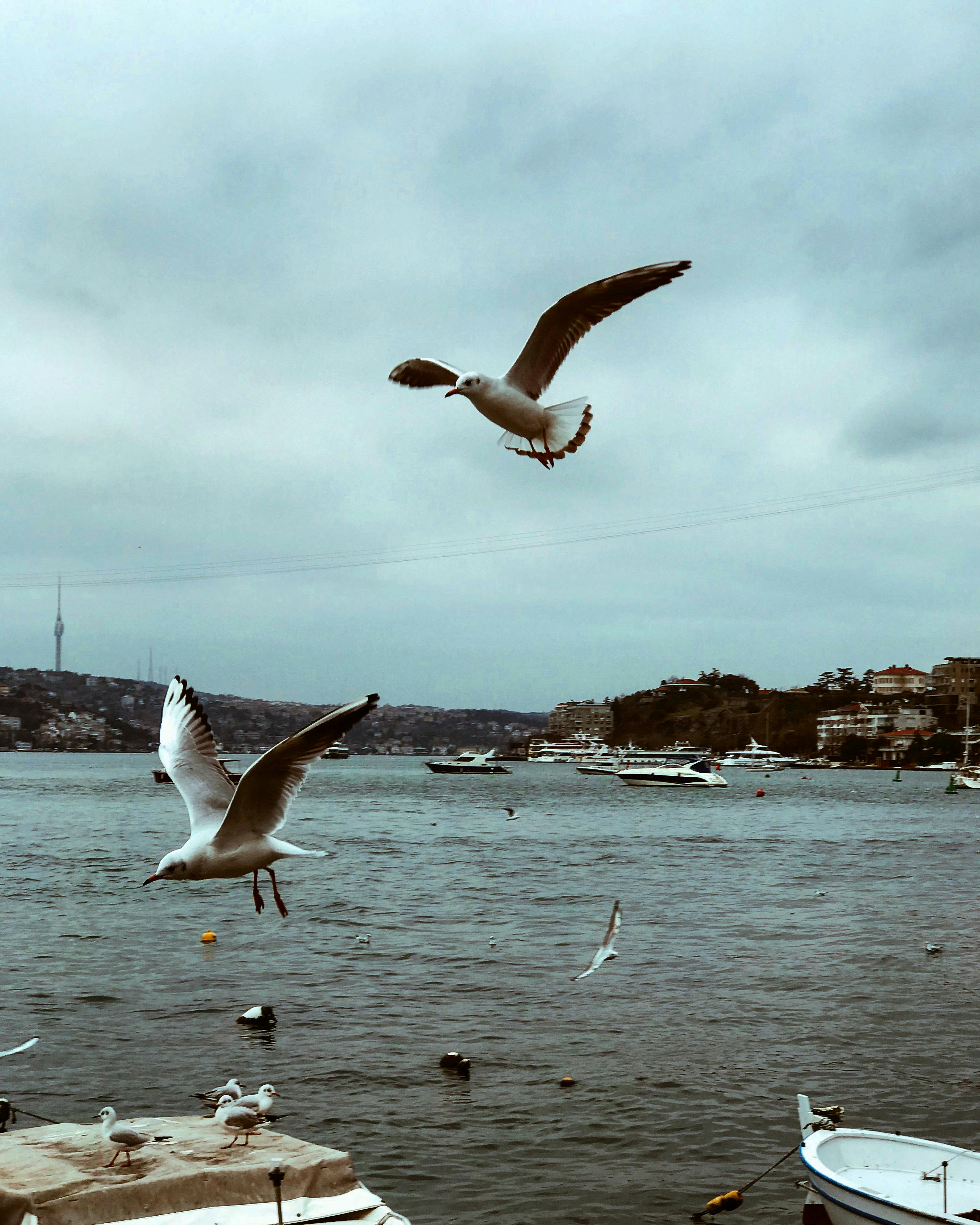 Residential electrical work - outlet installation in modern home