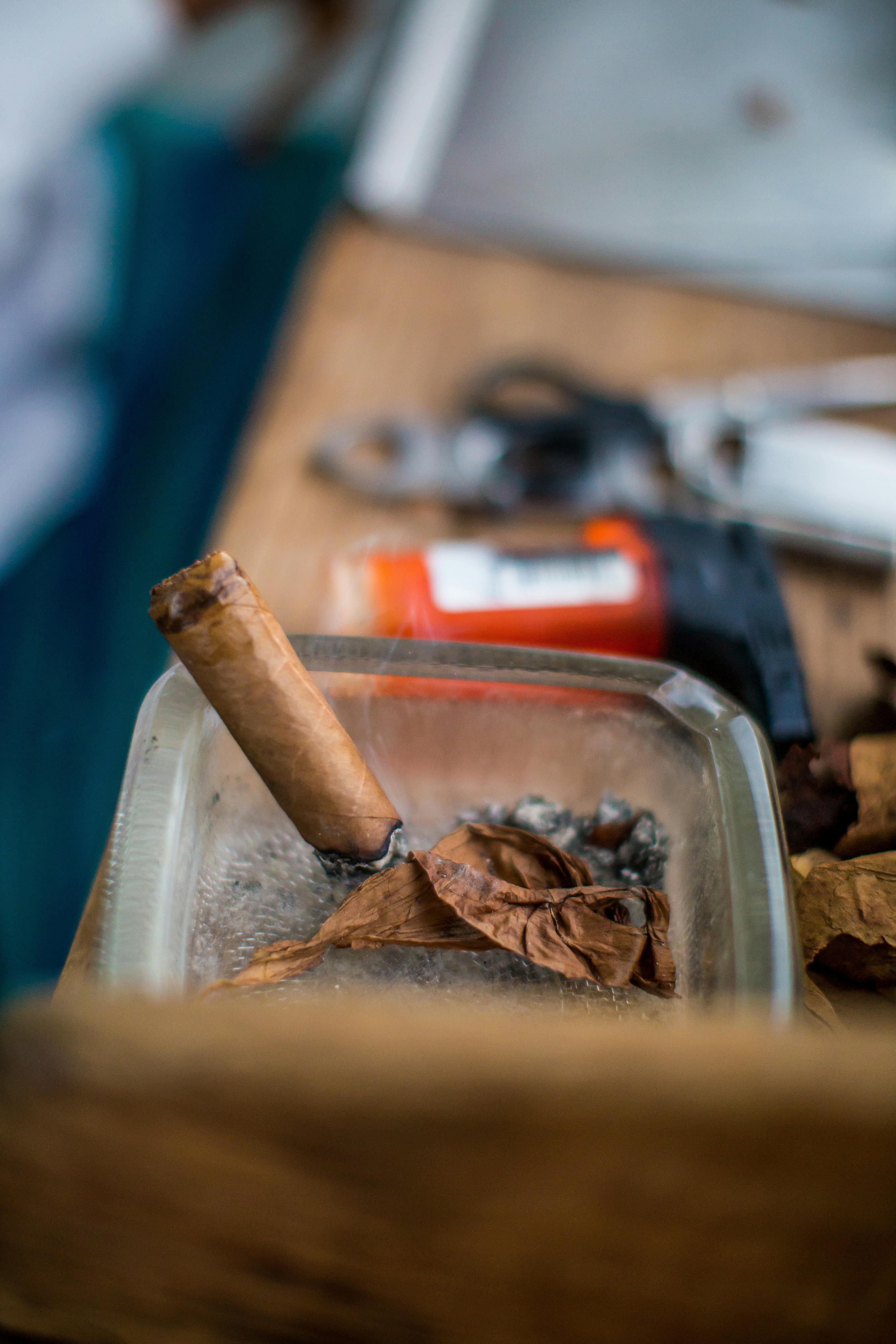 Close-up of a partially smoked cigar in a glass ashtray, depicting leisure and relaxation.