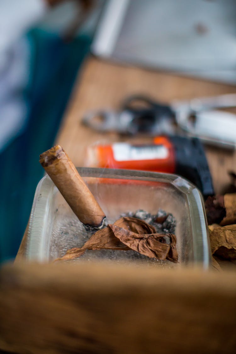 Cigar In Ash Tray