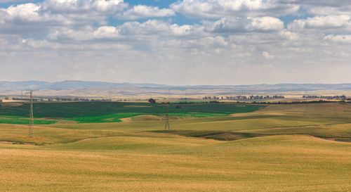 Free Agricultural field located in countryside farm covered with green grass under blue cloudy sky in sunny day Stock Photo
