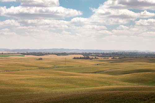 Fotos de stock gratuitas de afuera, agricultura, al aire libre