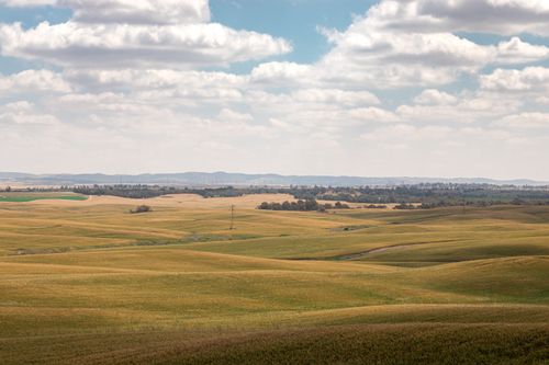 Free Spectacular scenery of spacious agricultural plantations under cloudy blue sky in countryside in daytime Stock Photo