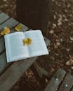 An Open Book on a Wooden Table
