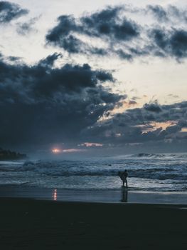 Silhouette of a person at a beach during a dramatic sunset with dark clouds.