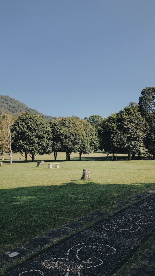 Free Peaceful park landscape with lush greenery and distant hills on a sunny day. Stock Photo