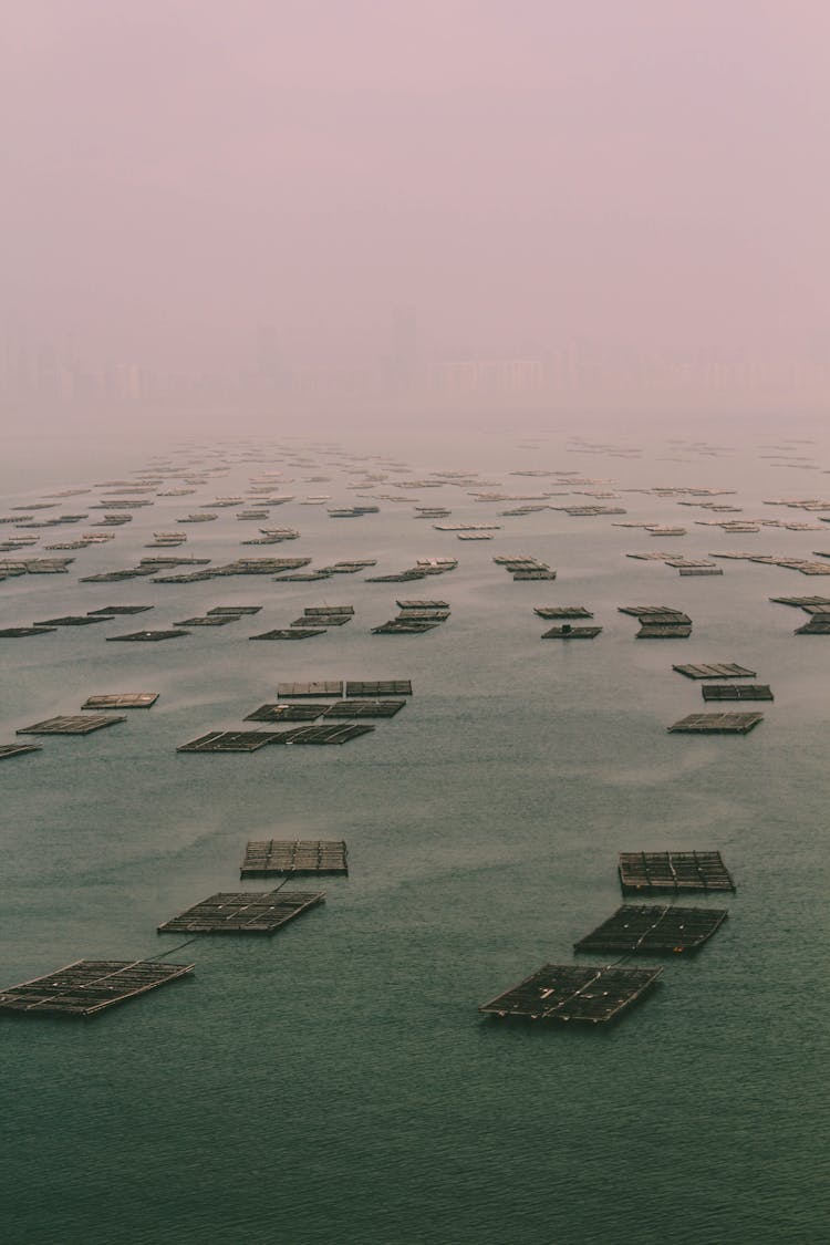 Wooden Platforms In Sea