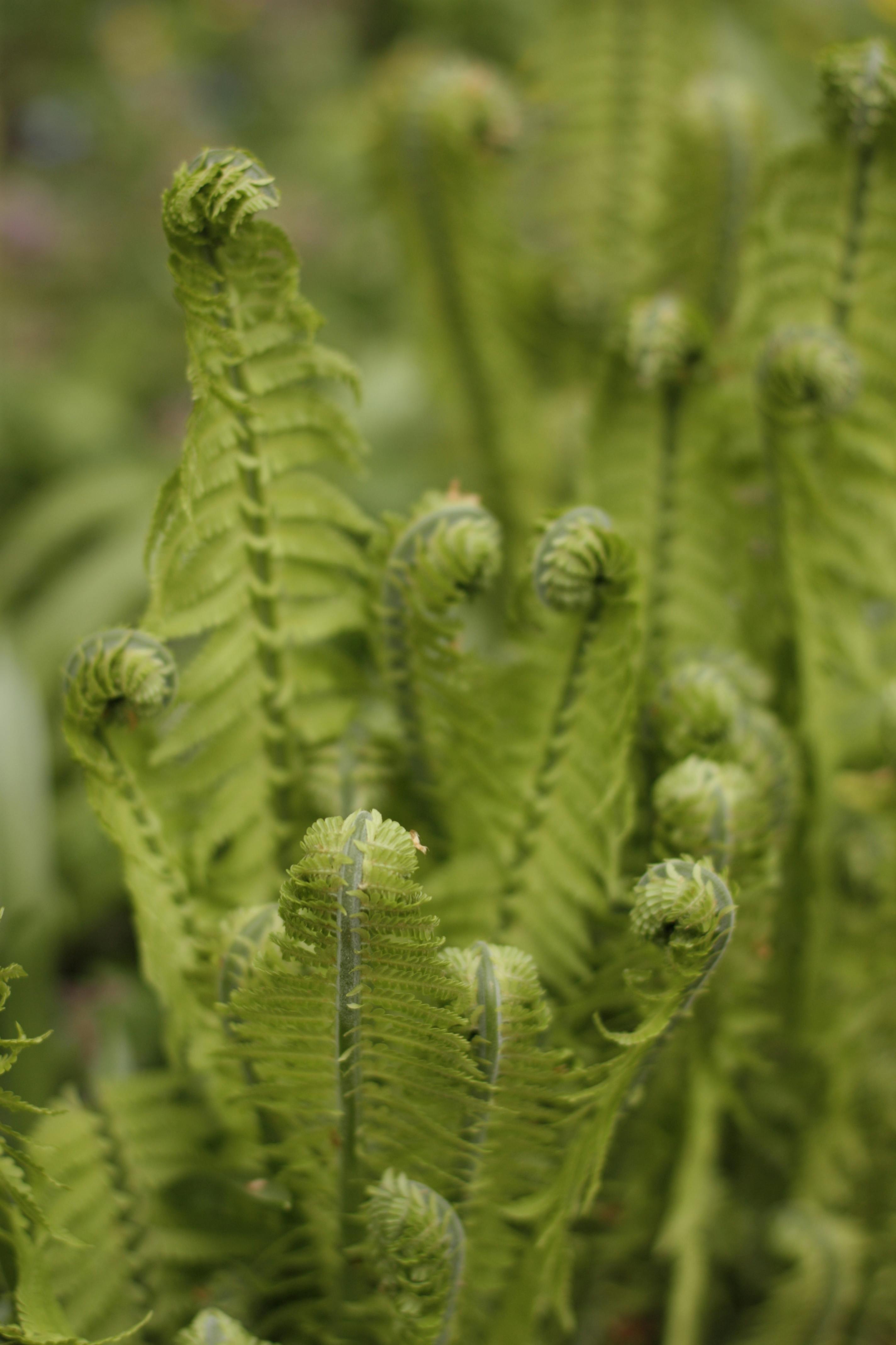 K-패션 인플루언서 이미지