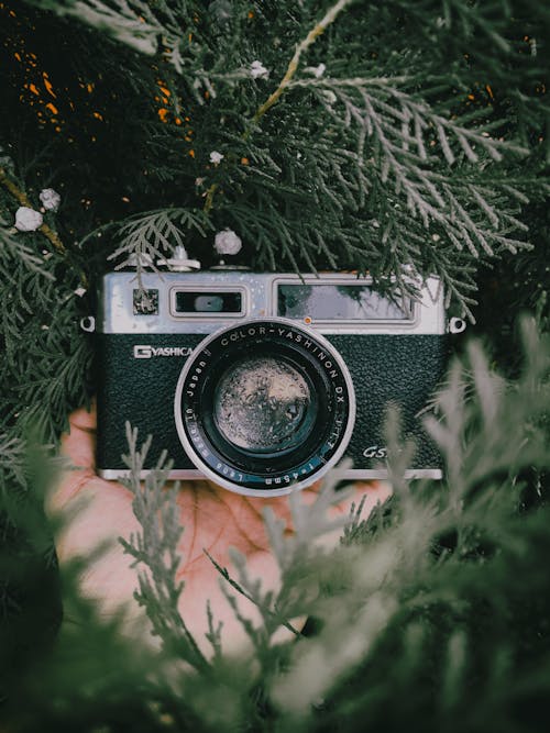 Free Black and Silver Camera on Green Grass Stock Photo