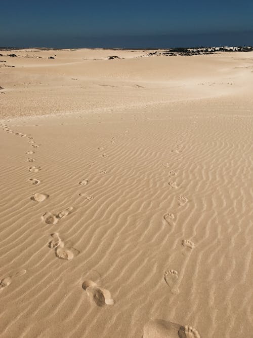Brown Sand with Footprints and Footsteps