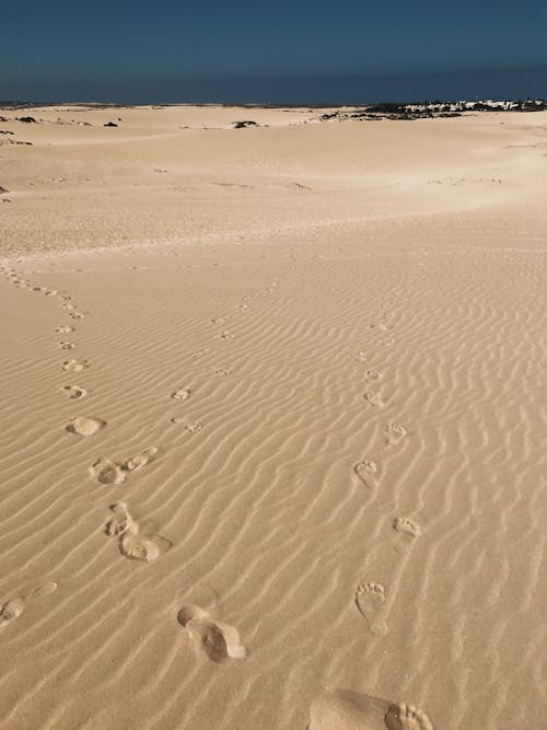 Foto d'estoc gratuïta de a l'aire lliure, de sorra, desert