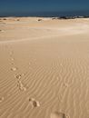 Brown Sand with Footprints and Footsteps