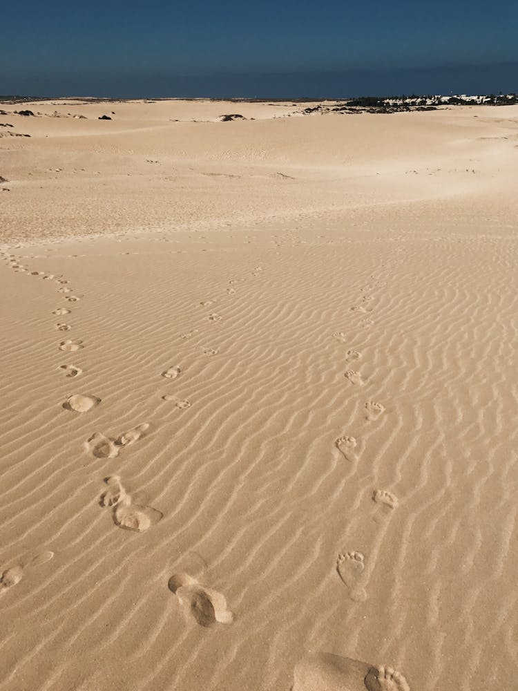 Brown Sand With Footprints And Footsteps