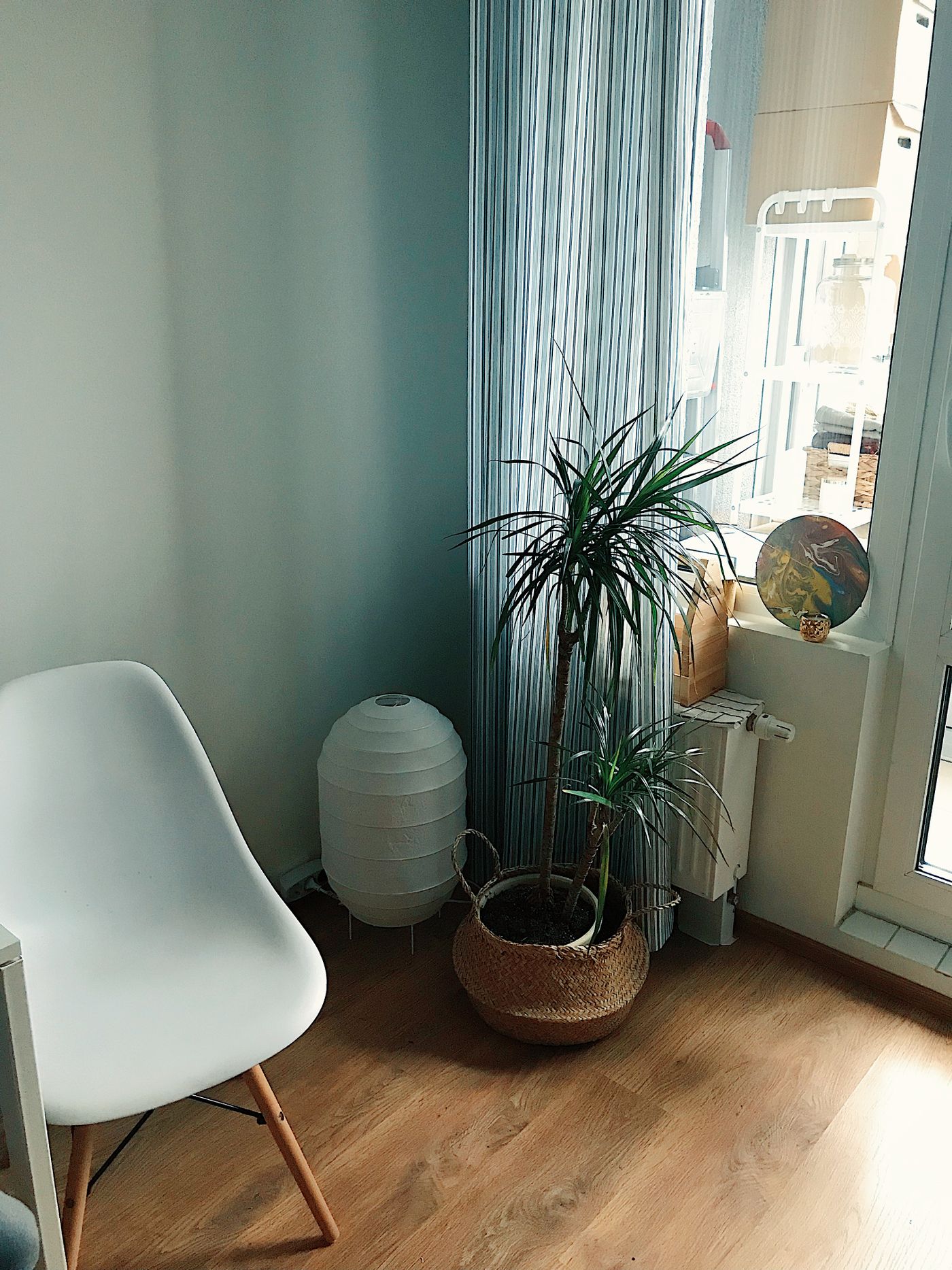 Plants and a chair by a bright window