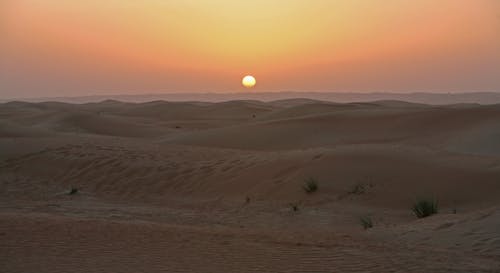 Foto d'estoc gratuïta de alba, capvespre, desert