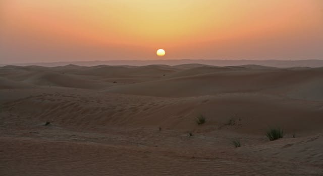 Peaceful sunrise over rolling sand dunes in a vast desert landscape.