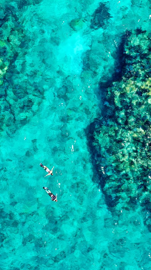 Free Aerial shot of snorkelers floating over vibrant coral reefs in clear turquoise waters. Stock Photo