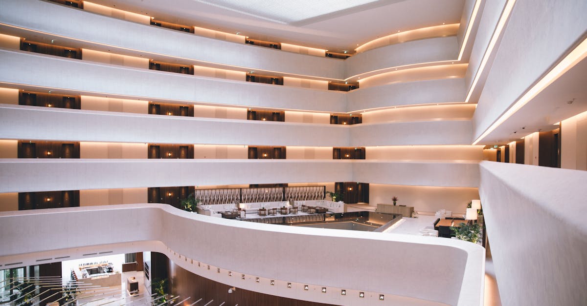 Dominica: hotel CSR supporting climate resilience and forest conservation Dominica: hotel CSR supporting climate resilience and forest conservation