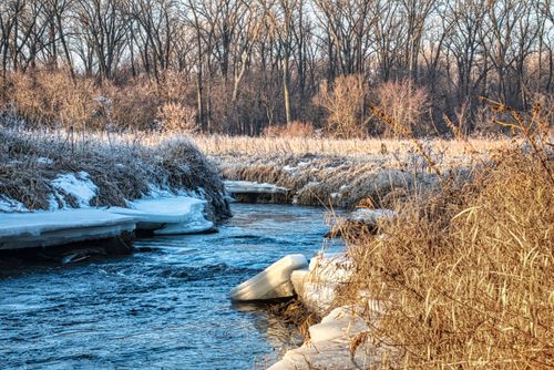 Free A tranquil creek flows through a snowy, frosty Minnesota forest during wintertime, creating a serene natural setting. Stock Photo