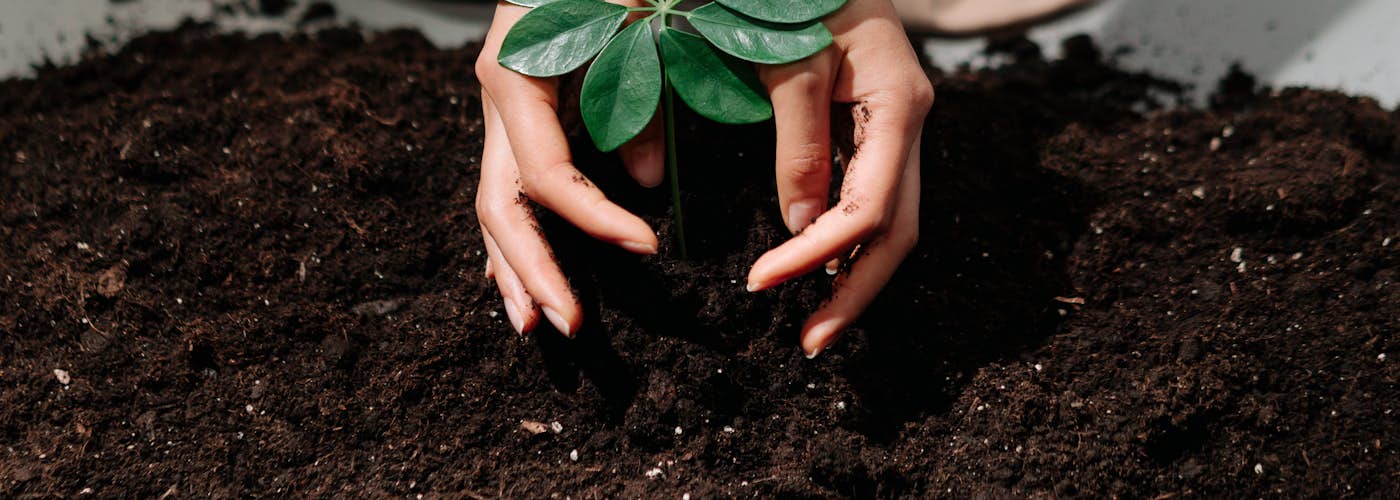 תמונת אילוסטרציה למאמר המטופל הבוגר – כיצד לסייע למטופל לקחת אחריות על ההליך הטיפולי המטופל הבוגר – כיצד לסייע למטופל לקחת אחריות על ההליך הטיפולי