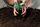soil