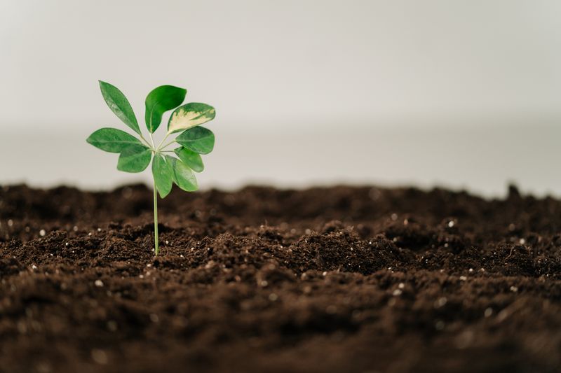 Soil profile upload screen