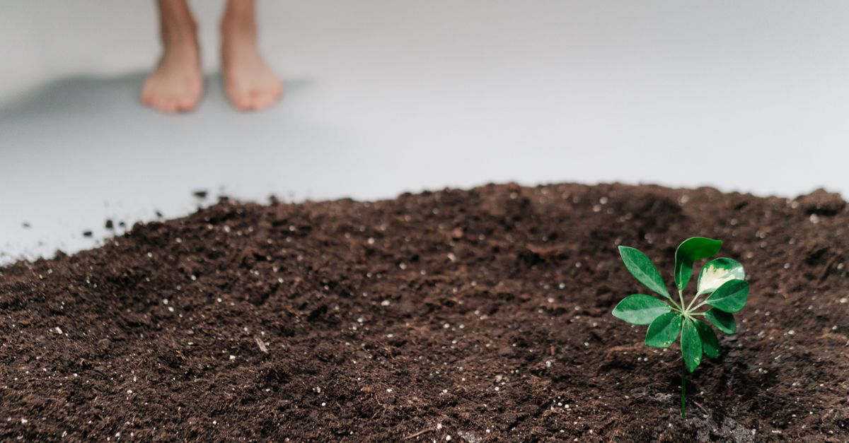 La contribución de las energías renovables a la reducción de la contaminación en la industria energética La contribución de las energías renovables a la reducción de la contaminación en la industria energética