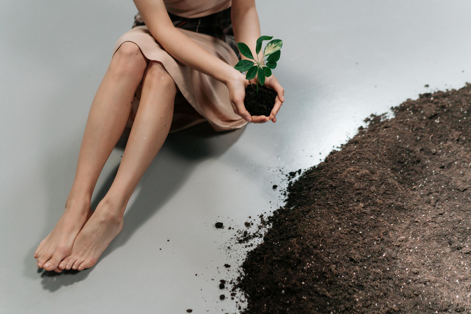 Une femme tient une plante en terre