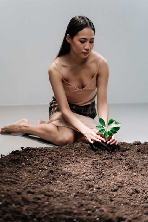 Free A young woman in a dress plants a seedling in soil indoors, embracing growth and nature. Stock Photo