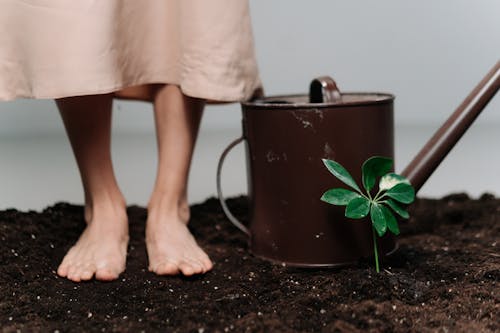 A Person Standing on a Soil Near the Plant and Watering Can