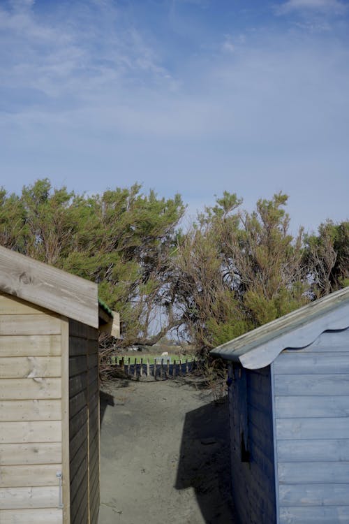 Foto profissional grátis de cabanas, casas, céu azul