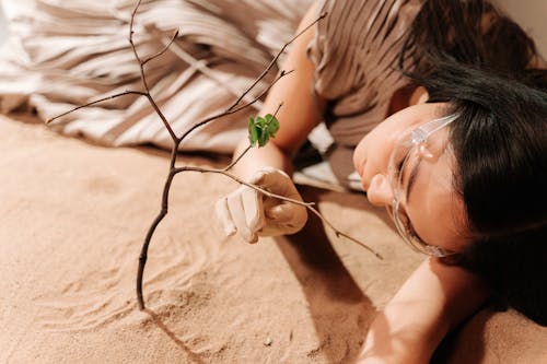 Free stock photo of beach, climate change, conceptual